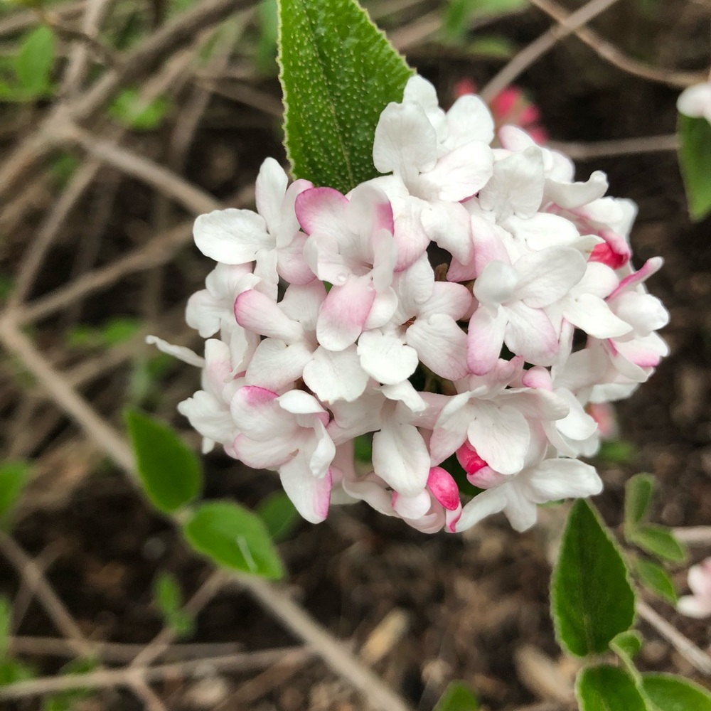 Meet your Posher, Kost